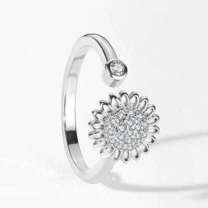 Spinner Ring | Aurora