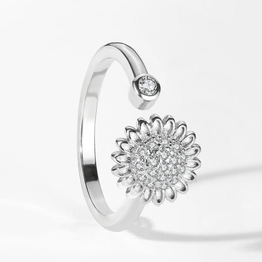 Spinner Ring | Aurora