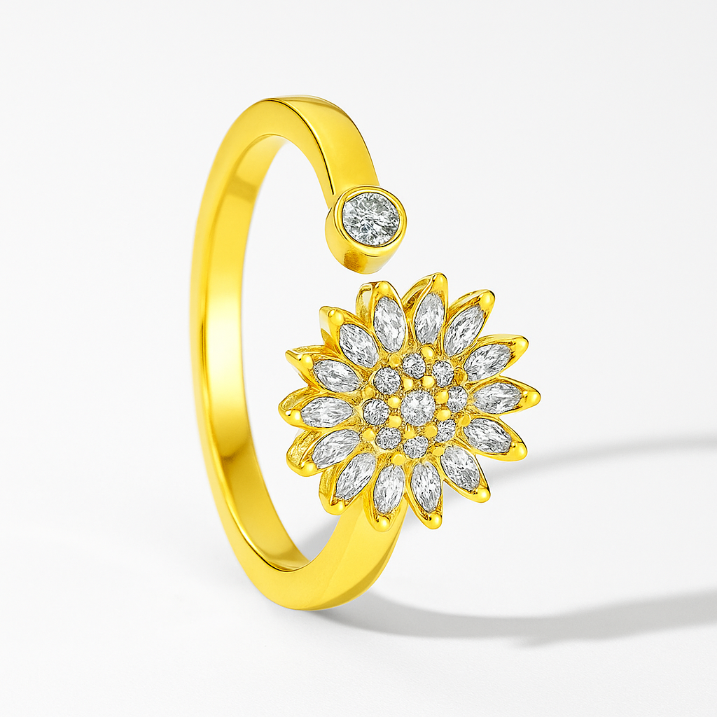 Spinner Ring | Aurora